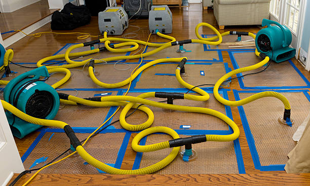 Professional Water Damage Repair technician working in Seekonk, MA